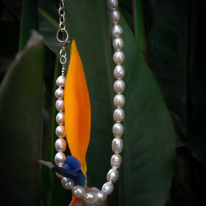 Jumbo Pearl Collar Necklace